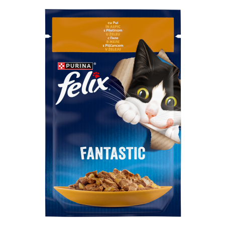 Pisici - Felix Fantastic Junior Pui Plic