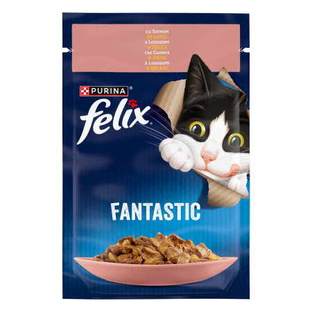 Pisici - Felix Fantastic Somon in Aspic Plic