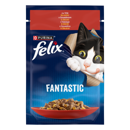 Felix - Felix Fantastic Vita in Aspic Plic