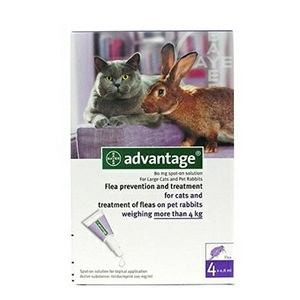 Broadline Cat Pipeta Antiparazitara
