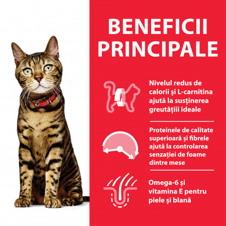 Hills SP Feline Adult Light Chicken [1]