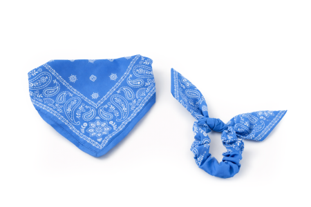 Jucarii Caini - Leopet Twinlook Set Bandana cu Elastic de Par Asortat Blue