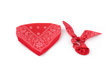 Jucarii Caini - Leopet Twinlook Set Bandana cu Elastic de Par Asortat Red