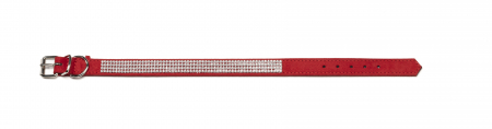 exotic-k-zgarda-caini-l4 [1]