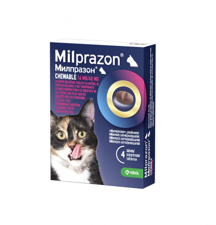 Antiparazitare - Milprazon Chewable pentru Deparazitare Interna Pisici >2 Kg 4 Comprimate