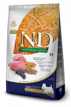 N&D Dog Ancestral Grain Lamb, Spelt, Oats and Blueberry Adult Mini [0]