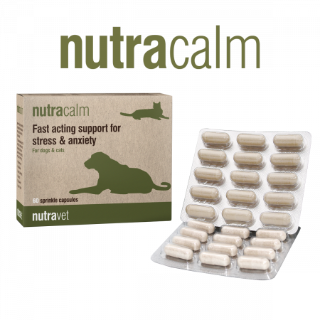Suplimente Nutritive Caini - Nutravet Nutracalm Sprijin pentru Anxietate Caini si Pisici 15 Capsule