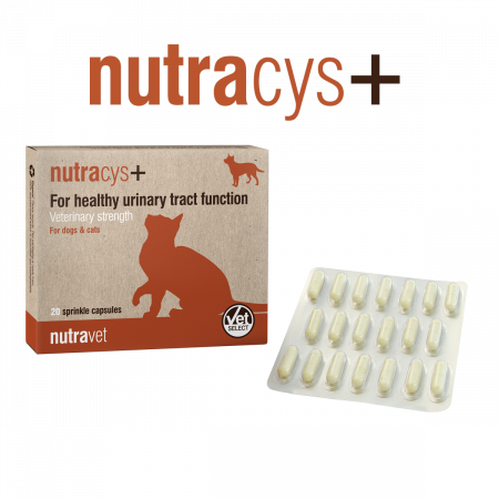 Suplimente Nutritive Caini - Nutravet Nutracys+ Sustinerea Tractului Urinar Caini si Pisici 20 Capsule