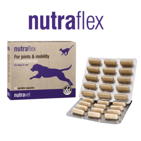 Suplimente Nutritive Caini - Nutravet NutraFlex Suport pentru Articulatii si Mobilitate Caini si Pisici 60 Capsule