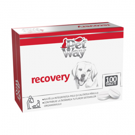 Suplimente Nutritive Caini - Petway Recovery - 100 Tablete