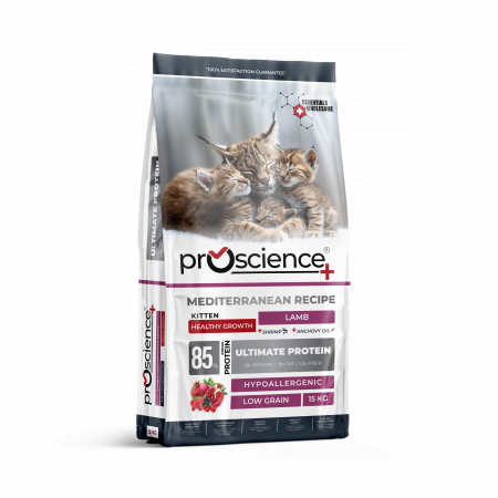 Pisici - Pro Science Kitten Healthy Growth cu Miel