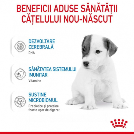 Royal Canin Baby Dog Milk 400 Gr [6]