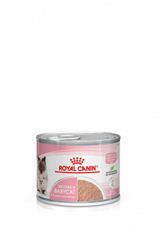 Royal Canin - Royal Canin Babycat&Mother Mousse Conserva