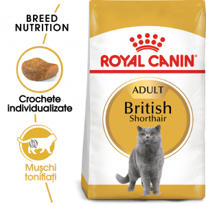 Royal Canin British Shorthair Adult [1]