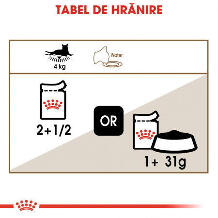 Royal Canin Ageing +12 Plic 85 G [6]