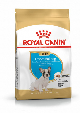 Caini - Royal Canin French Bulldog Junior