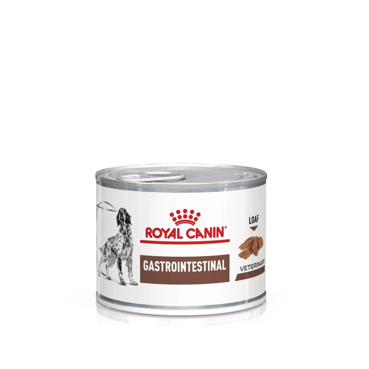 Caini - Royal Canin Gastro Intestinal Dog Conserva