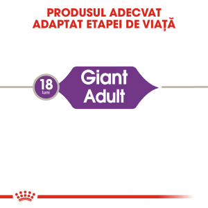 Royal Canin Giant Adult [4]