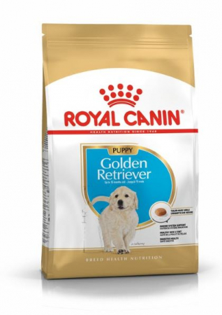 Caini - Royal Canin Golden Retriever Junior