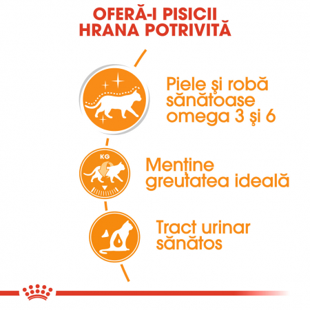 Royal Canin Hair&Skin Care in Sos 85 G [3]
