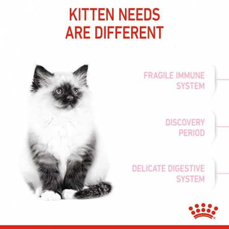 Royal Canin Kitten [4]