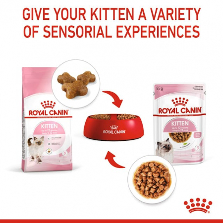 Royal Canin Kitten In Gravy Plic 85 G [5]