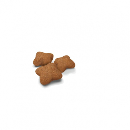 Royal Canin Kitten Sterilised [1]