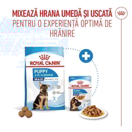 Royal Canin Maxi Puppy [4]