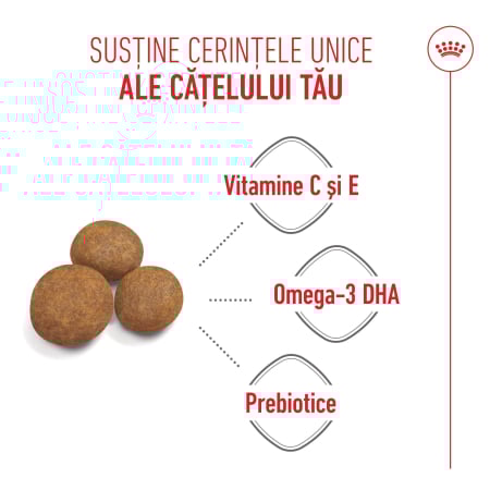 Royal Canin Maxi Puppy [2]