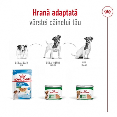 Royal Canin Mini Adult Hrana Umeda Caini Pate 195 Gr [6]