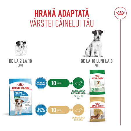 Royal Canin Mini Puppy [1]