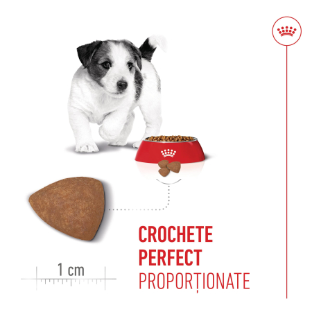 Royal Canin Mini Puppy [3]