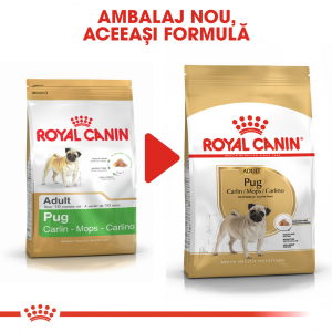 Royal Canin Pug Adult [2]