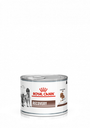 Diete Veterinare Caini - Royal Canin Recovery Dog&Cat Conserva