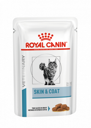 Diete Veterinare Pisici - Royal Canin Skin Coat Plic