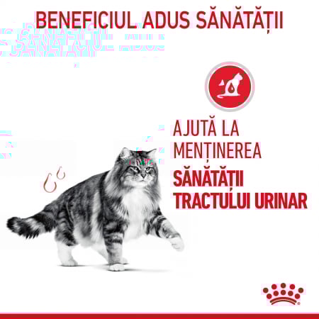 Royal Canin Urinary Care Plic 85 G [4]
