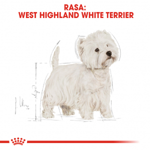 Royal Canin Westie Adult [4]