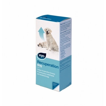 Suplimente Nutritive Caini - Viyo Recuperation Dog