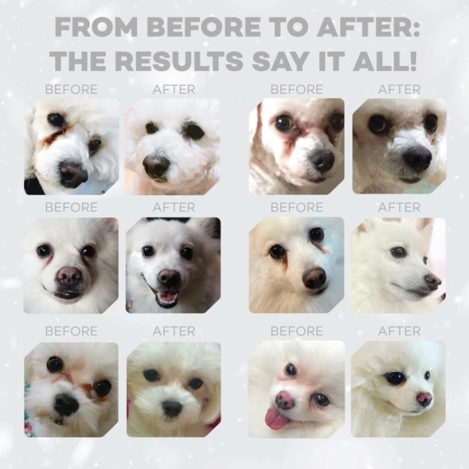 Superior Care Dry GF White Fish For Dogs of All Sizes and Life Stages With White Coat [6]