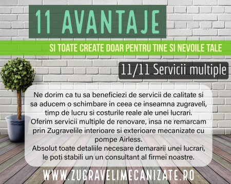 De ce sa alegi Zugraveli mecanizate Airless [11]