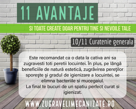 De ce sa alegi Zugraveli mecanizate Airless [10]