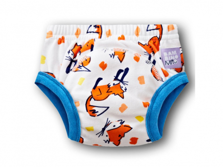 Diversificare si Ingrijire Bebe - Chilotel de antrenament la olita, Bambino Mio, 2-3 ani Fuzz