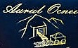 Aurul Ocnei