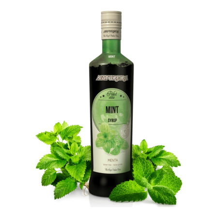 Siropuri si Piureuri - Sirop Naturera Menta, 0.7L