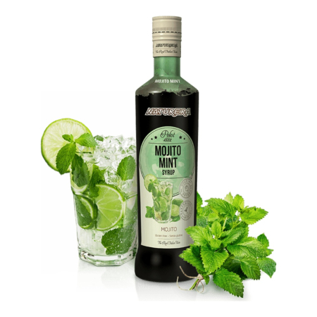Siropuri si Piureuri - Sirop Naturera Mojito Mint, 0.7L