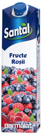 Bauturi necarbogazoase - Suc Santal de Fructe Rosii 30%, cutie 1L