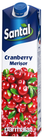 Bauturi necarbogazoase - Suc Santal Merisor 15%, cutie 1L