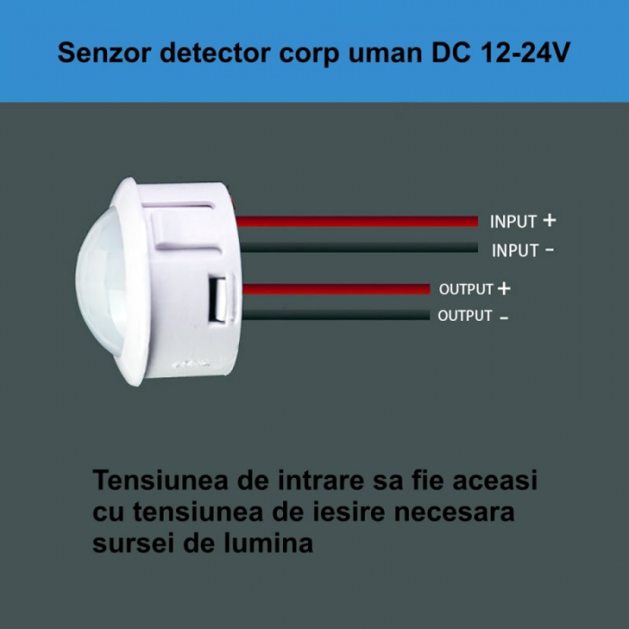 SENZOR PIR 12-24V DC CU 4 FIRE 25X20MM [4]