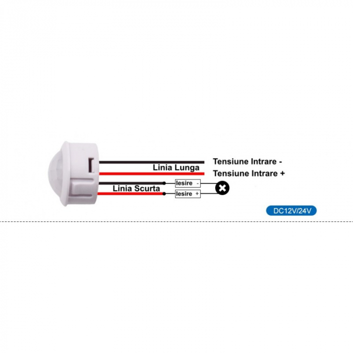 SENZOR PIR 12-24V DC CU 4 FIRE 25X20MM [3]