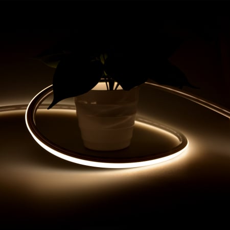 Neon LED 10x10mm • 24V • 12W • 6000K • IP67 • 780lm [5]